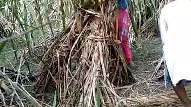 Village girl fucking in jungle 2 Clips Merged