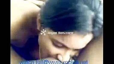 Smooth Desi Cock Chikni Indian Pussy